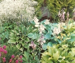 Four_Winds_Landscaping_thumbs_750soft-landscaping-top.jpg
