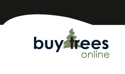 buy-trees-online-logo.png