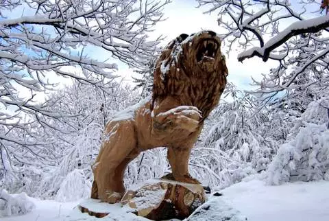 simon_orourke_lion_in_snow.jpg