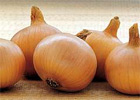 thompson-and-morgan-onions.jpg