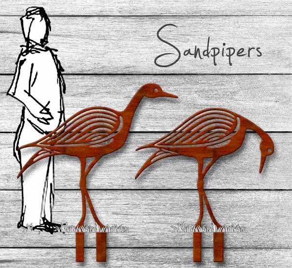 sandpiper-with-person.jpg
