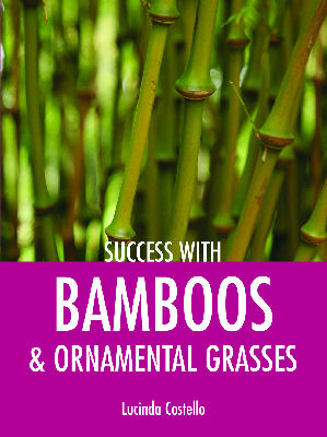 bamboogmc