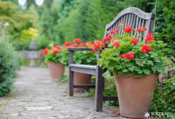 borde_hill_bench_blooms_watermark_