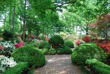capital_gardens_usa_national_arboretum