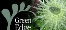 greenedgegardendesignstrip2.jpg