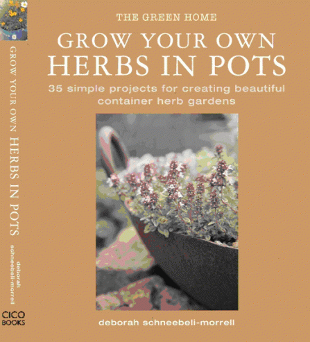 grow_your_own_herbs_in_pots