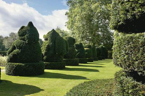 hall_place_the_topiary,_hall_place_1.jpg