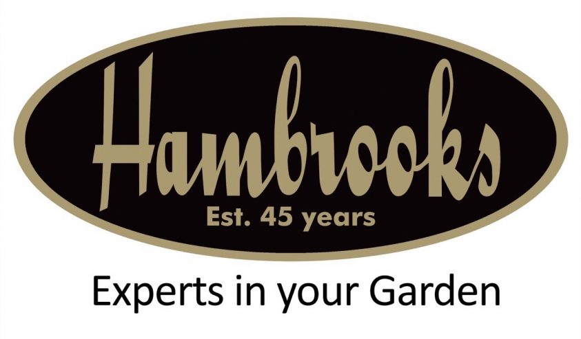 ham_hambrook_logo45yearslow_res