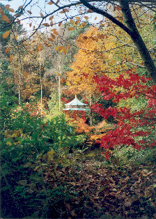 portmeriontemple_autumn_colours