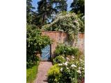 spetchley_2_roses_blue_door_small.jpg