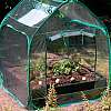 thompson-and-morgan-mini-greenhouse-pop-up