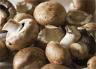 thompson-and-morgan-mushrooms.jpg