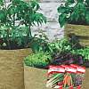 thompson-and-morgan-patio-veg-planters