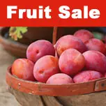 thomson_and_morgan_fruit-sale.jpg