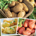 thomson_and_morgan_value-potatoes.jpg