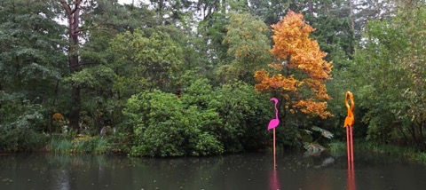 sculpture_park_giant_flamingos_by_piers_diamentapolou_at_the_sculpture_park.jpeg