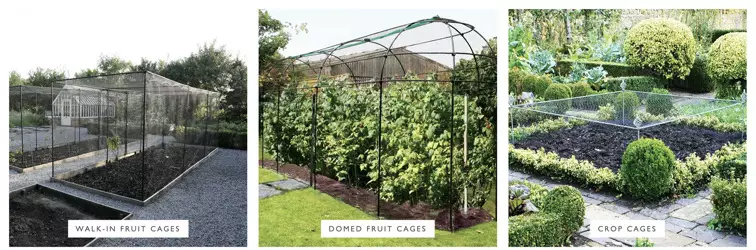 Agriframes Fruit cages and nettinglow res